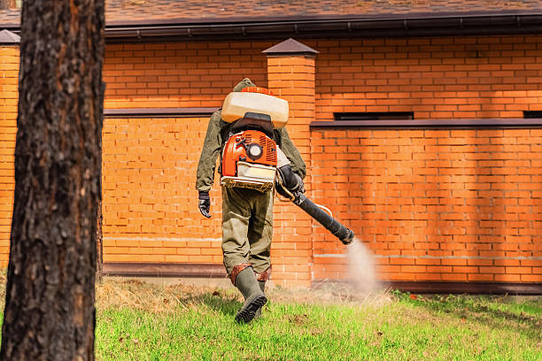 Trusted Cockroach Control service in Momence, IL - Nex Pest Control